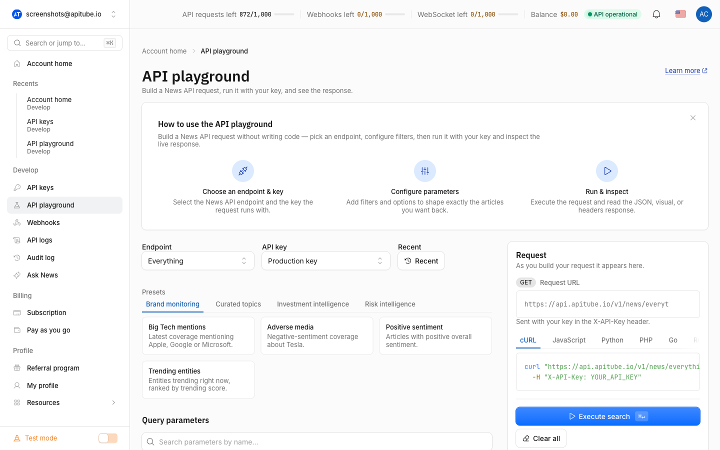 The API playground: endpoint and API key selectors, preset searches, and the live request preview with code samples