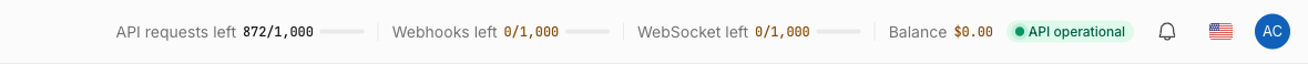 The dashboard header quota bar showing API requests left, webhook and WebSocket pools, and the pay-as-you-go balance